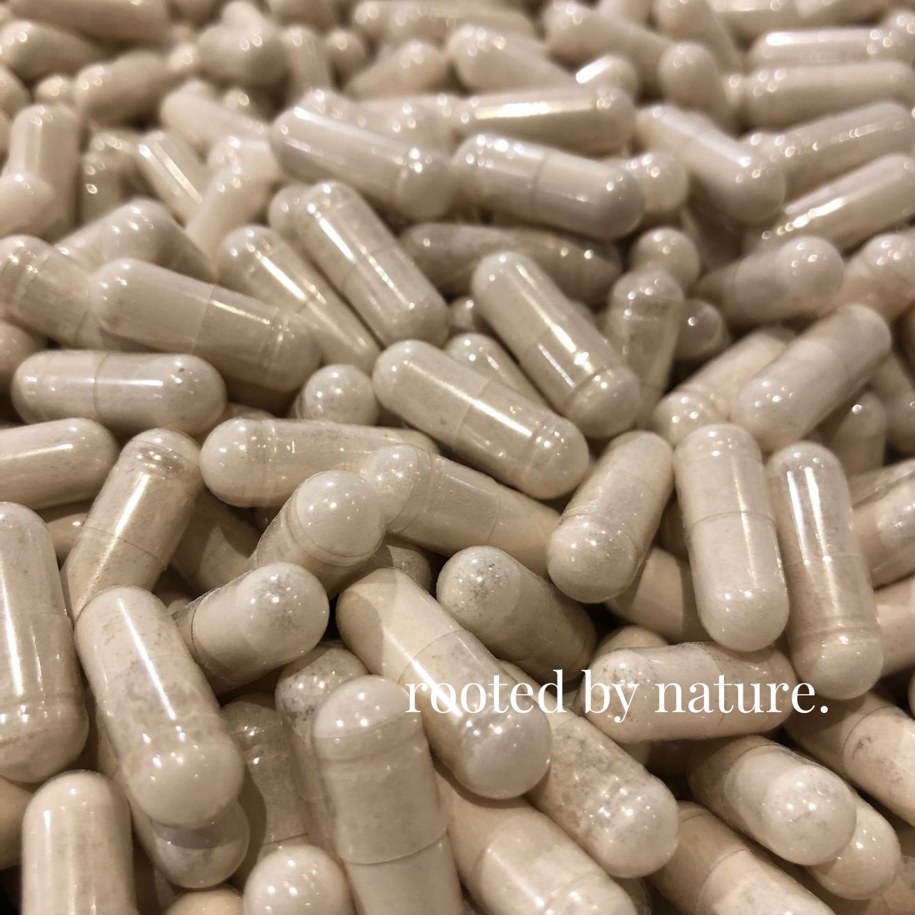 100% organic St Lucia Sea Moss capsules. Sustainably sourced from St Lucia. Our best-selling Gold Sea Moss Capsules are filled with our nutrient rich, hand-harvested Gold Sea Moss, sourced directly from the nutrient-rich waters of St Lucia. Hand-ground and encapsulated in a naturally vegan capsule, these capsules provide an easy and convenient way to incorporate mineral rich Sea Moss into your daily routine.